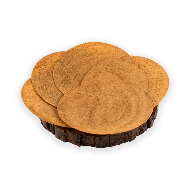 Sp. Pani Puri Khakhra