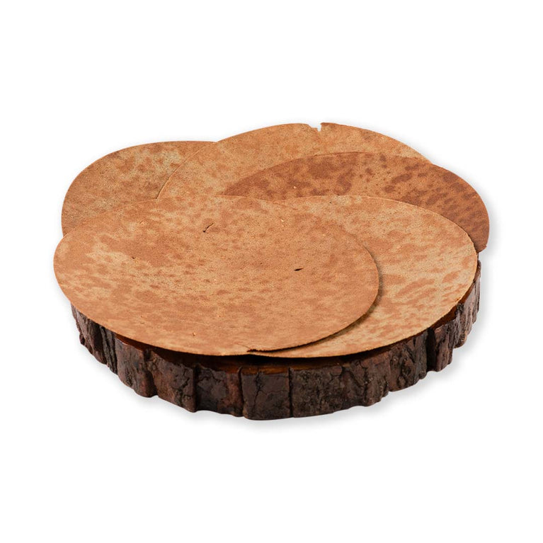 Vegan Protein Khakhra